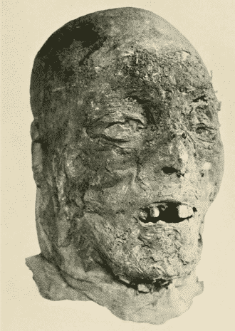 Mummified head that looks vaguely like a portrait of Henry Grey 